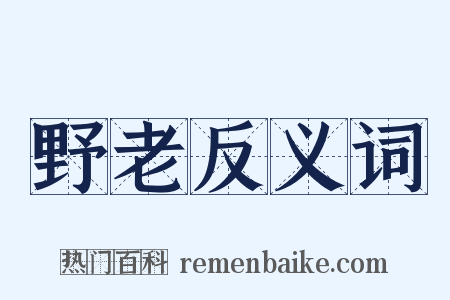 野老反义词是什么意思的图片